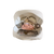 Latte_Imper
